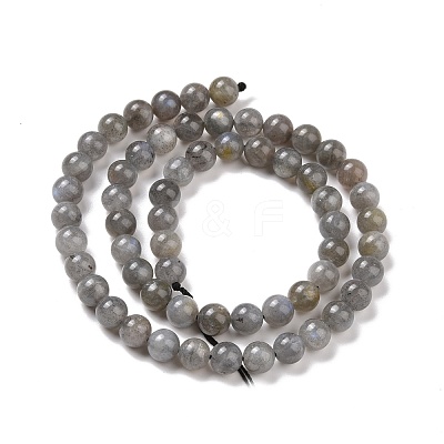 Natural Labradorite Bead Strands G-P259-03-6mm-1