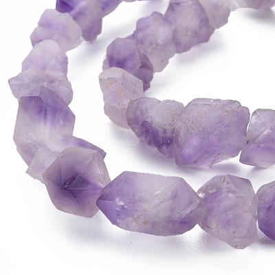 Raw Rough Natural Amethyst Beads Strands G-N0326-028-1