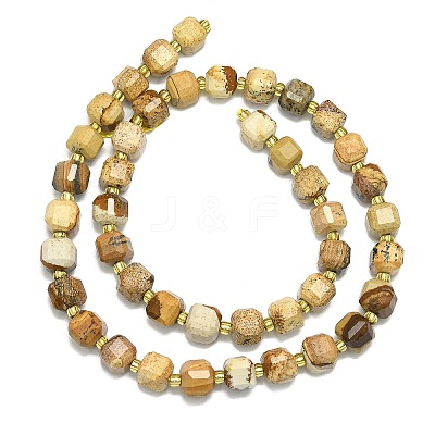 Natural Picture Jasper Beads Strand G-I376-D78-01-1