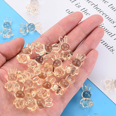 Transparent Acrylic Beads MACR-S373-81-B04-1