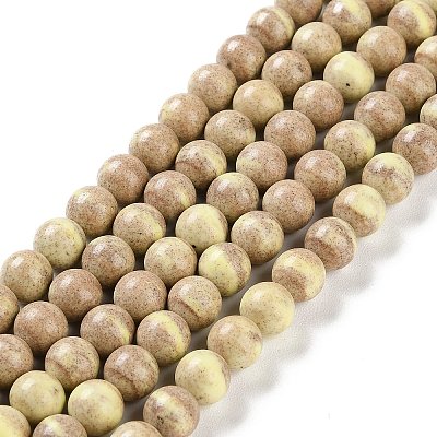 Natural Rainbow Alashan Agate Beads Strands G-NH0022-A-02-1