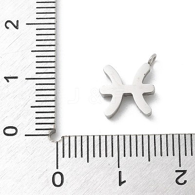 304 Stainless Steel Micro Pave Cubic Zirconia Charms STAS-Z107-09P-05-1