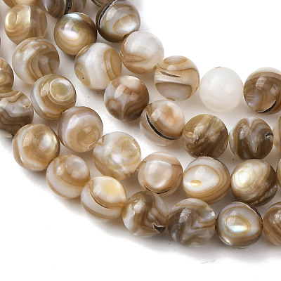 Natural Freshwater Shell Beads Strands SHEL-K006-71A-1