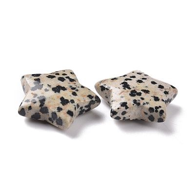 Natural Dalmatian Jasper Beads G-P469-12A-04-1
