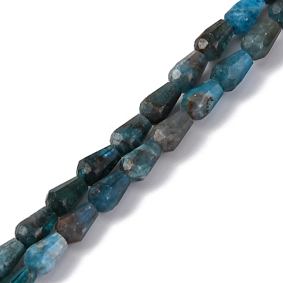 Natural Apatite Beads Strands G-C080-B06-01A-1