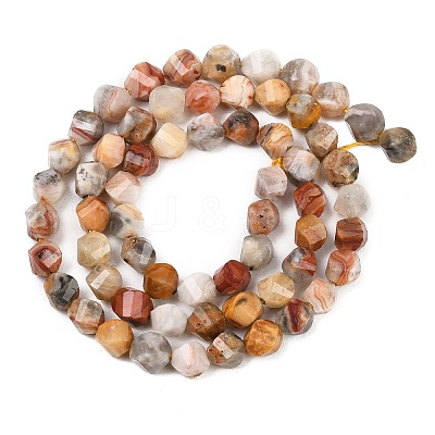 Natural Crazy Agate Beads Strands G-P611-C06-01-1