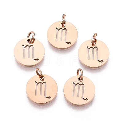 304 Stainless Steel Charms STAS-Q201-T445-8R-1