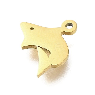 304 Stainless Steel Charms STAS-U027-10G-05-1