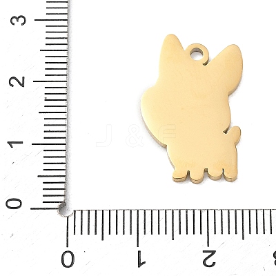 304 Stainless Steel Pendants SA-CBAE115-10G-1