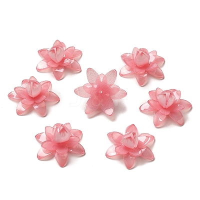 Flower Opaque Acrylic Beads SACR-C002-35-1