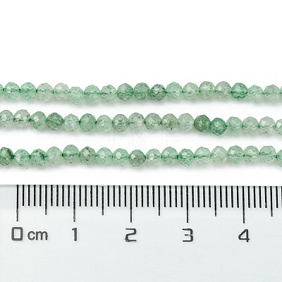 Natural Green Strawberry Quartz Beads Strands G-Z034-A02-02-1