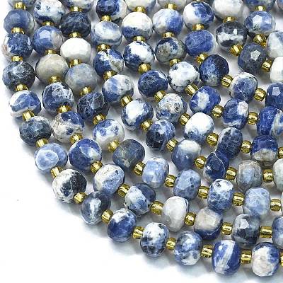 Natural Sodalite Beads Strands G-K389-E74-01A-1