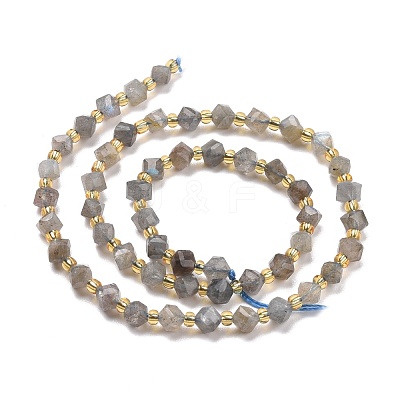 Natural Labradorite Beads Strands G-P463-35-1