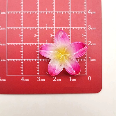 Opaque Resin Cabochons RESI-R455-01P-01-1