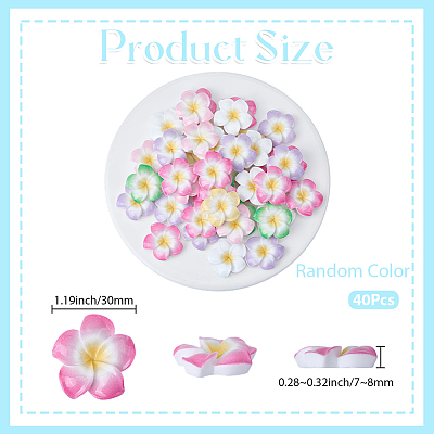 Plumeria Flower Opaque Resin Cabochons CRES-BM0001-01B-1