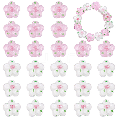 30Pcs 2 Colors Handmade Lampwork Beads LAMP-WR0001-06-1