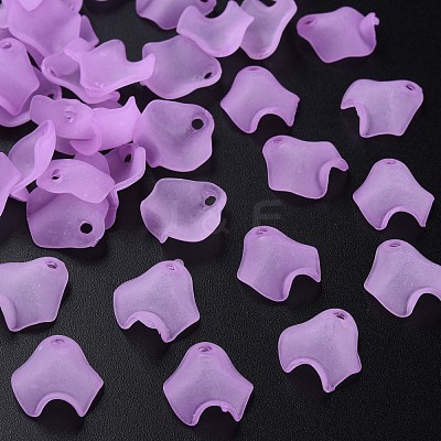Transparent Acrylic Beads MACR-S373-106-D03-1