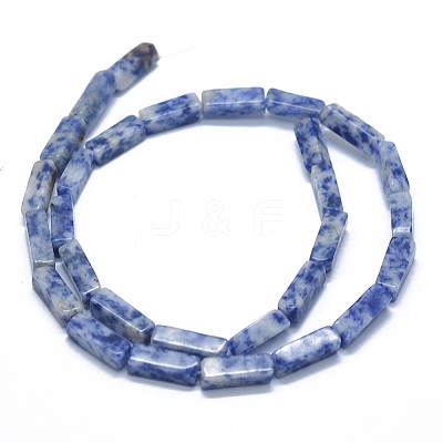 Natural Blue Spot Jasper Beads Strands G-F631-E04-1