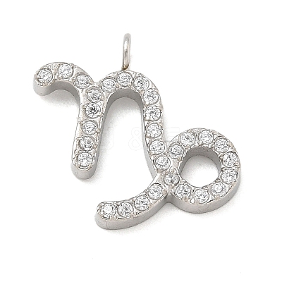 304 Stainless Steel Micro Pave Cubic Zirconia Charms STAS-Z107-09P-12-1