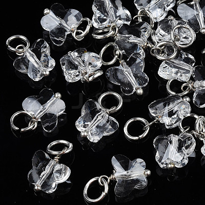 Faceted Transparent Glass Charms GLAA-T024-06M-1