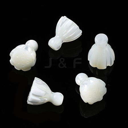 Natural Trochid Shell/Trochus Shell Beads SSHEL-N032-40-1