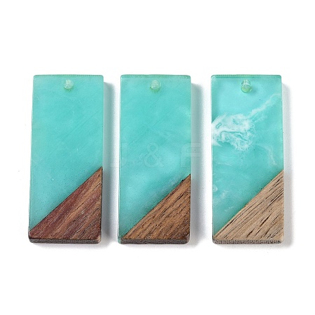 Resin & Wood Pendants WOOD-F015-09F-1