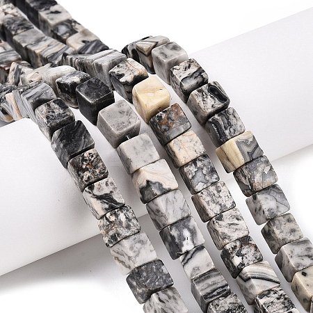 Natural Map Stone Beads Strands G-T139-8x8-20A-1