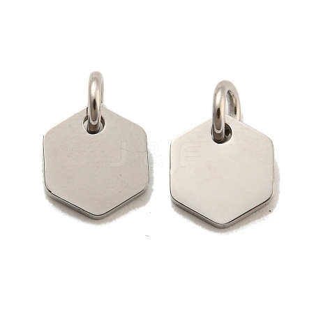 Non-Tarnish 304 Stainless Steel Charms STAS-P356-01P-1