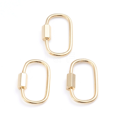 Brass Screw Carabiner Lock Charms X-ZIRC-I041-05G-1