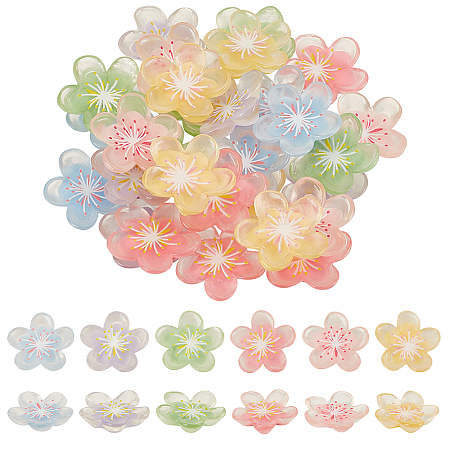 60Pcs 6 Colors Translucent Resin Decoden Cabochons RESI-GA0001-31-1