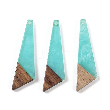 Resin & Wood Pendants WOOD-F015-15D-1