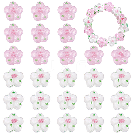 30Pcs 2 Colors Handmade Lampwork Beads LAMP-WR0001-06-1
