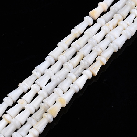 Natural Freshwater Shell Beads Strands SHEL-N026-213-A01-1
