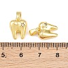 Brass Micro Pave Clear Cubic Zirconia Charms CU-CBAA571-01G-3