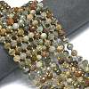 Natural Lodolite Quartz Beads Strands G-K389-E37-01-2