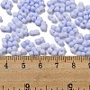 Macaron Color Opaque Frosted Glass Seed Beads SEED-K009-12B-12-4