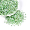 Transparent Colours Luster Glass Seed Beads SEED-N008-09D-1