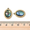 Natural Paua Shell Pendants STAS-G397-08G-02-3