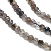 Natural Iolite Beads Strands LS-G-RM2025-22-3mm-4