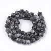 Natural Larvikite Beads Strands G-S348-03-2
