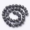 Natural Larvikite Beads Strands GSR10mmC128-3