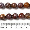 Natural Ocean Jasper Beads Strands G-H298-A13-05-5