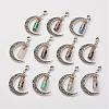 11Pcs 11 Styles Alloy Moon European Dangle Charms PALLOY-JF00277-1