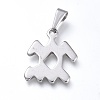 Non-Tarnish 304 Stainless Steel Pendants LS-STAS-L210-06L-P-01-1