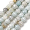 Electroplated Natural Flower Amazonite Beads Strands G-B191-A03-6mm-2