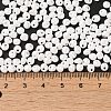 6/0 Glass Seed Beads X1-SEED-M012-01A-16-4
