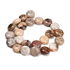 Natural Fossil Coral Beads Strands GG-CBA362F-02-4