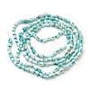 Spiral Shell Beads Strands BSHE-L037-09-3