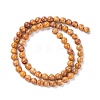 Natural Maifanite/Maifan Stone Beads Strands G-P451-01B-C-3