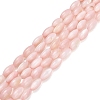 Natural Freshwater Shell Beads Strands SHEL-C010-01F-1